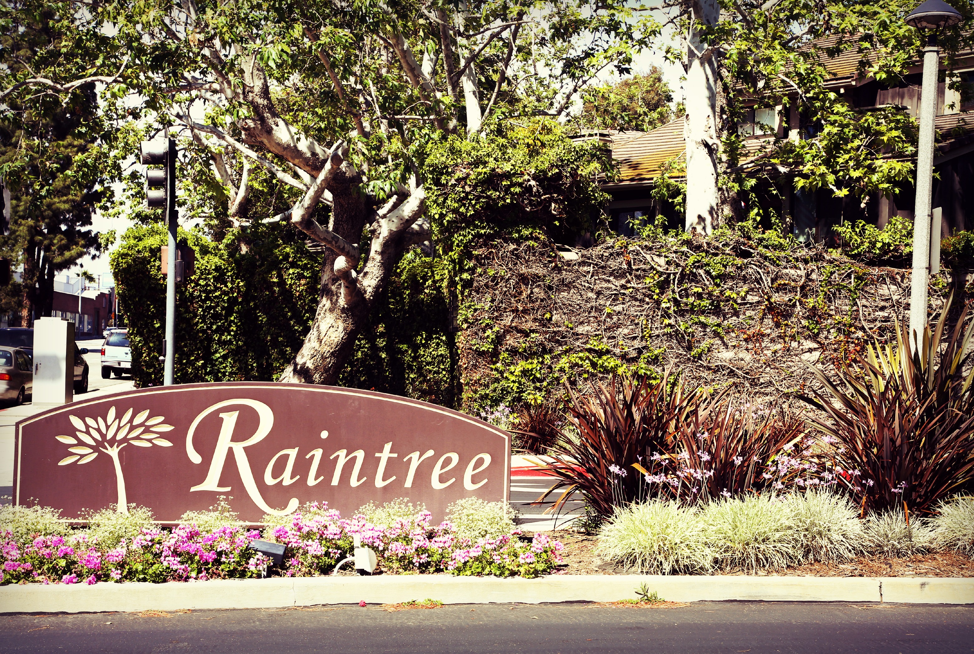 Raintree Condominiums For Sale in Culver City 